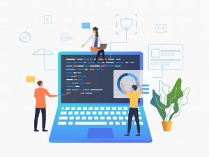 desarrollo web